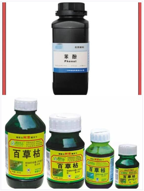 <a href='http://www.semtea.cn' title='國際貨運代理' >國際貨運代理</a>